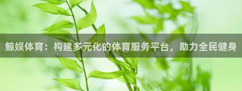 鲸娱体育：构建多元化的体育服务平台，助力全民健身