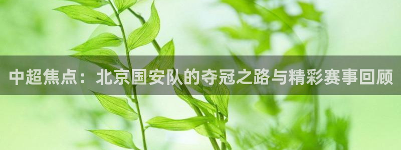 中超焦点：北京国安队的夺冠之路与精彩赛事回顾